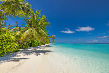 Summer beach landscape. Tropical island paradise. Exotic coast, palm trees, pristine sea, blue happy sky. Amazing nature pattern. Exotic destination travel background, vacation mood perfect wallpaper
