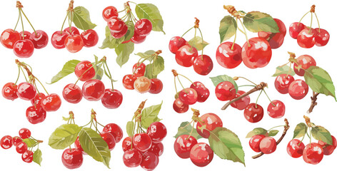 cherry watercolor clipart	