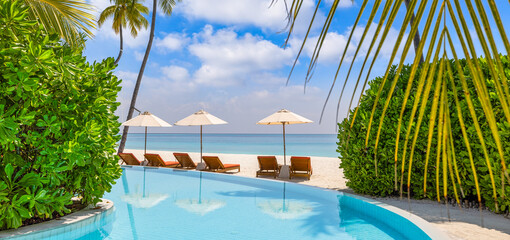 Stunning landscape, swimming pool blue sky clouds. Tropical resort hotel in Maldives. Fantastic relax and peaceful vibes, chairs, loungers under umbrella and palm tree leaves. Luxury travel vacation