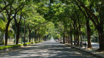 Fototapeta premium Picture a tree-lined avenue in the heart of a bustling city. Imagine the green canopy providing a cool, shaded walkway for pedestrians, offering a refreshing escape from the urban environment.