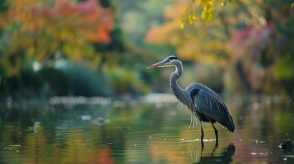 Naklejka premium Visualize a majestic heron standing gracefully in a tranquil pond. Picture its long, slender legs and elegant neck as it patiently waits for prey, embodying patience and grace in the natural world.