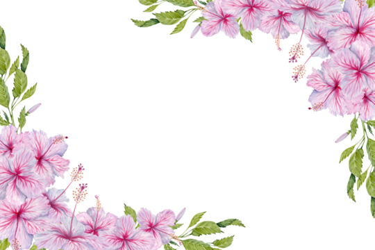 Pink Hibiscus Flowers with leaves postcard composition. Watercolor illustration isolated on transparent background. Copy space floral card design with realistic botanical branches for invitations