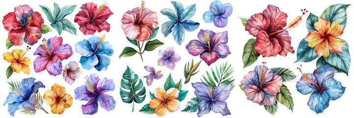 Watercolor Tropical Flowers Set Isolated on Transparent or White Background, PNG