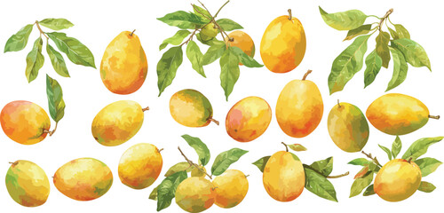 Obraz premium mango watercolor clipart 