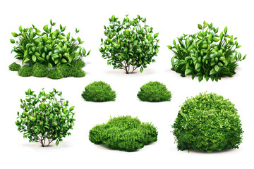 Obraz premium collection of topiary bushes in various shapes and sizes, isolated on white.