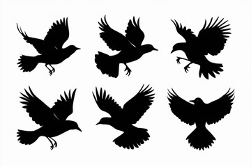 Obraz premium set of silhouettes of birds, flying birds set