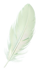 Fototapeta premium PNG Leaf lightweight softness feather