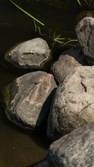 Large rocks, boulders near the shore of a large water utility