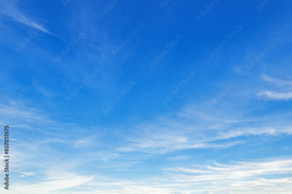 Wall mural sky is blue and clear with no clouds