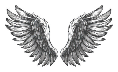 Obraz premium PNG Sketch Wings icon art illustrated archangel.