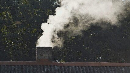 White smoke from the chimney of the village house.