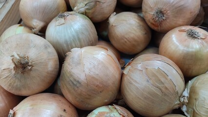 close up of a pile of onions