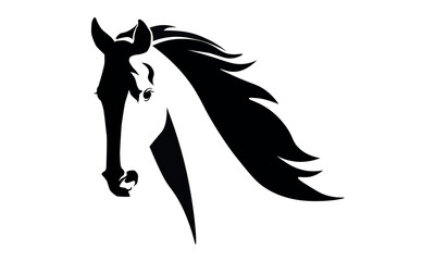 
Hand drawn horse head