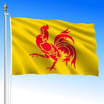 Wallonia regional waving flag, Kingdom of Belgium, vector file, illustration