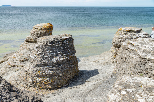 Byrum's raukar one of &Ouml;land's most unique landscapes. Over millions of years, the waves of the sea have chiseled meter-high stone pillars out of the &Ouml;land limestone. 