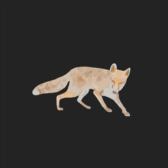 Fox isolated design 