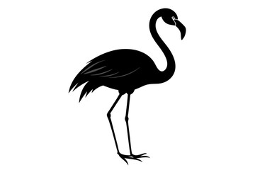 flamingo vector silhouette, Vector black flamingo silhouette, Black silhouette of tropical bird flamingo