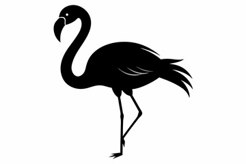 flamingo vector silhouette, Vector black flamingo silhouette, Black silhouette of tropical bird flamingo