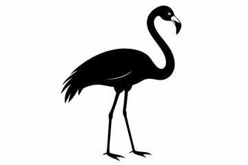 flamingo vector silhouette, Vector black flamingo silhouette, Black silhouette of tropical bird flamingo