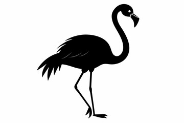 flamingo vector silhouette, Vector black flamingo silhouette, Black silhouette of tropical bird flamingo