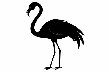 flamingo vector silhouette, Vector black flamingo silhouette, Black silhouette of tropical bird flamingo