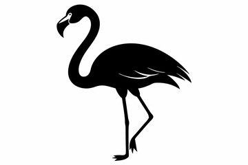 flamingo vector silhouette, Vector black flamingo silhouette, Black silhouette of tropical bird flamingo