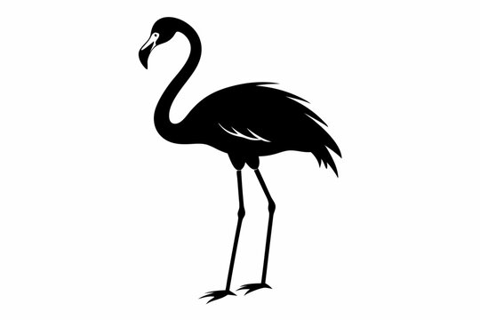 recommend clip art: flamingo vector silhouette, Vector black flamingo silhouette, Black silhouette of tropical bird flamingo