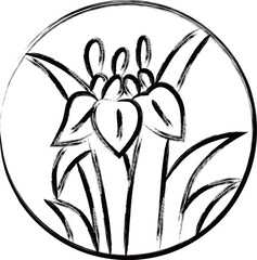 筆書き円形ミニ花札　菖蒲　杜若　皐月　5月　菖蒲のカス