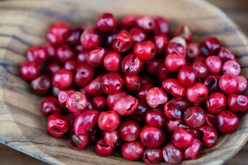 Pfefferkörner Piper nigrum auf Olivenholz