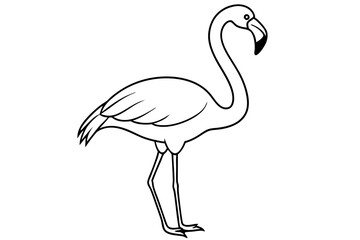 flamingo line art vector, tropical bird flamingo line drawing