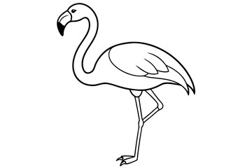 flamingo line art vector, tropical bird flamingo line drawing