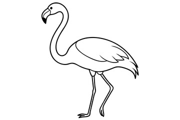 flamingo line art vector, tropical bird flamingo line drawing