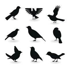 Obraz premium set of birds made by midjourney