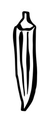 Okra drawing hand painted with ink brush. Png clipart isolated on transparent background