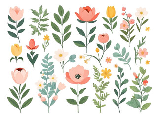Set collection. Flower with petioles clipart. illustration. Isolated transparent background