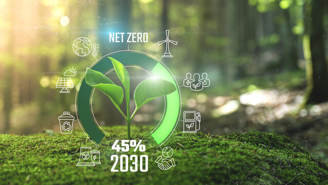 Net Zero Emissions 2050 Countdown Animation 45% in 20230 Young plant springing up out of the moss soil