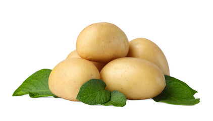 Fresh raw potatoes and green leaves isolated on white