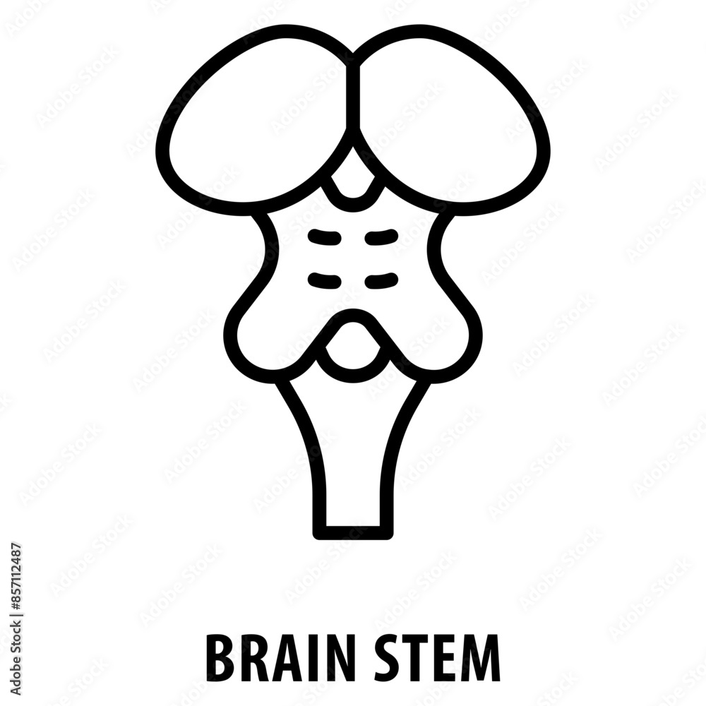 Poster brain stem icon simple and easy to edit for your design elements