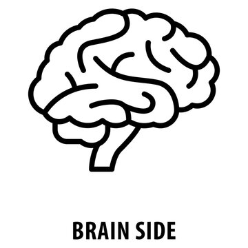 brain side Icon simple and easy to edit for your design elements