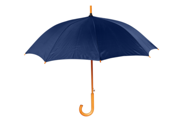 umbrella cane with wooden handle isolated from background