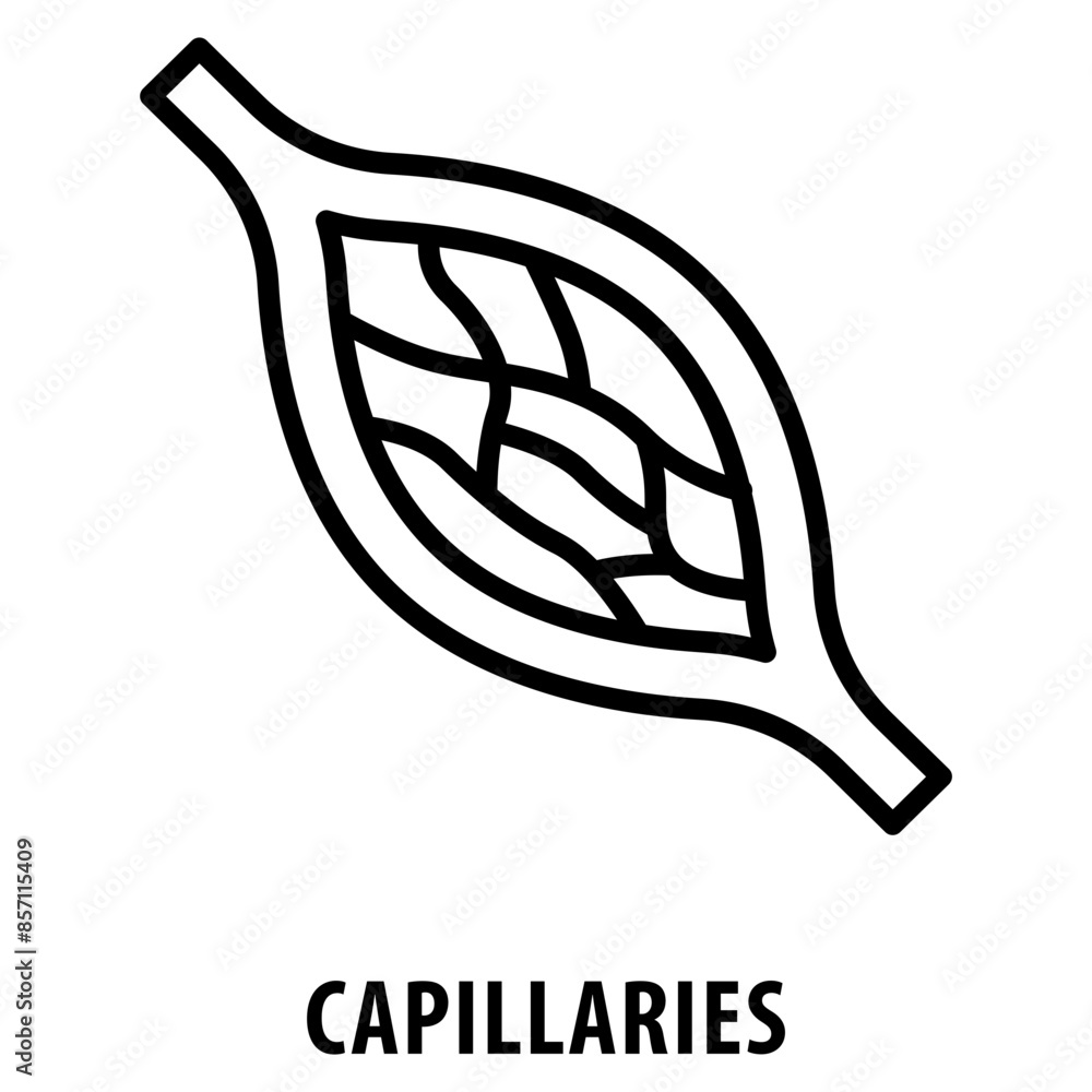 Poster capillaries icon simple and easy to edit for your design elements