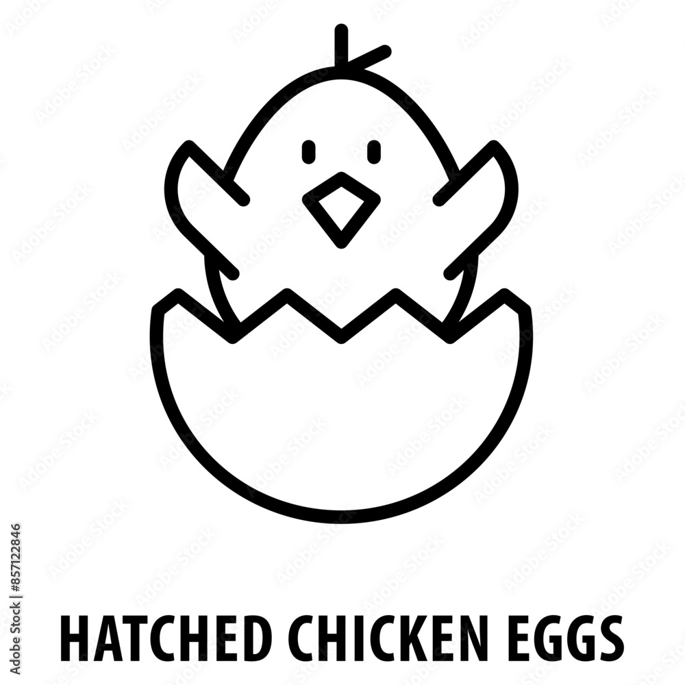 Poster hatched chicken eggs icon simple and easy to edit for your design elements