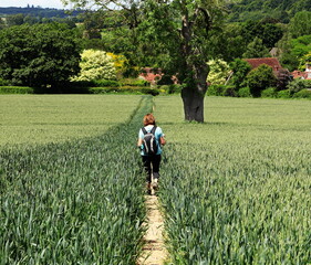 An English Rural Landscape in the Chiltern Hills