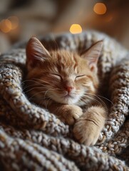 Adorable Orange Kitten Sleeping Comfortably Snuggled in a Warm Knitted Blanket with Soft Lights.