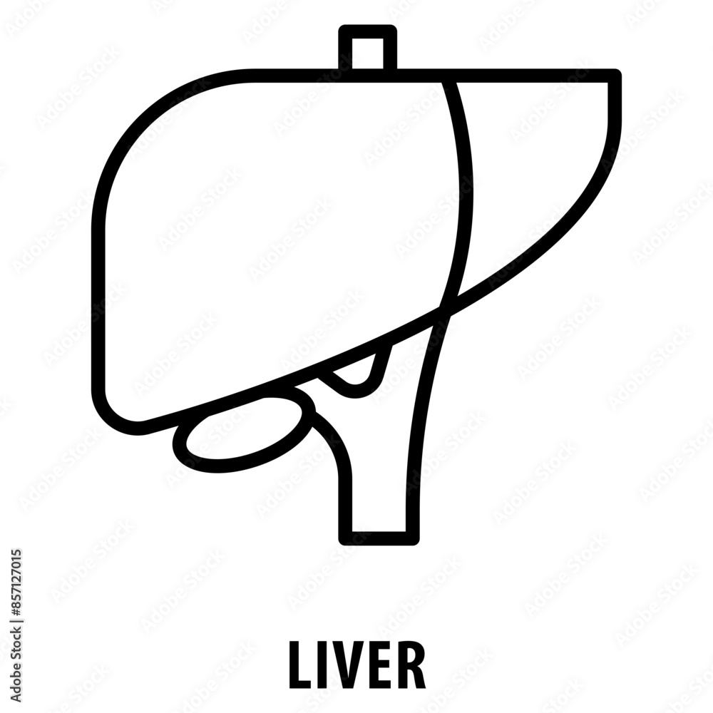 Poster liver icon simple and easy to edit for your design elements