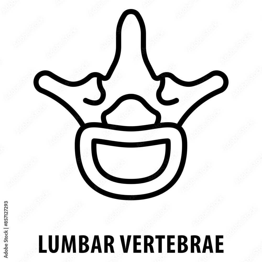 Poster lumbar vertebrae icon simple and easy to edit for your design elements