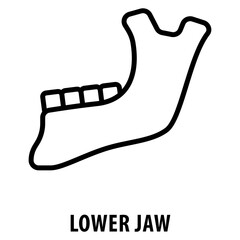 lower jaw Icon simple and easy to edit for your design elements