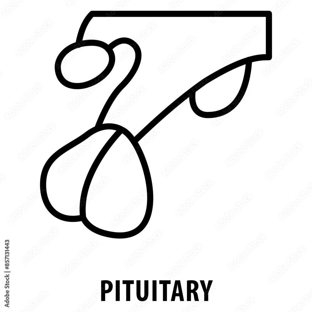 Aufkleber pituitary icon simple and easy to edit for your design elements