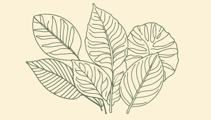 Editable Stroke Vector Illustration of Spring and Autumn Leaves | Botanical Design