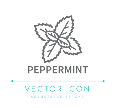 Peppermint Line Icon